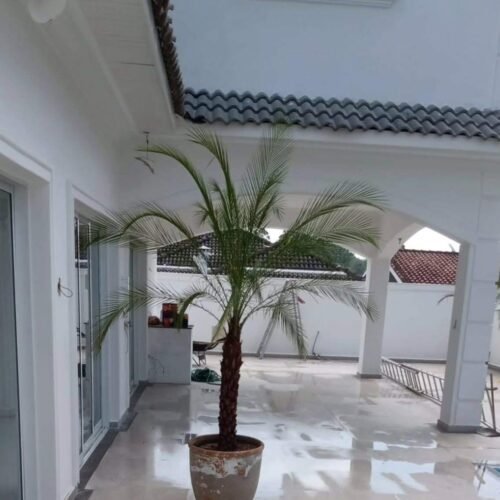 WhatsApp Image 2025-04-09 at 16.28.30 (1)